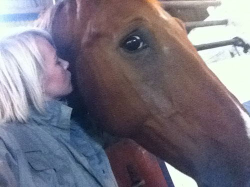 horse